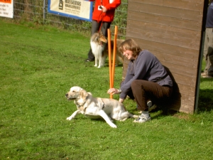 Rasender Retriever...