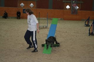 VDH_DM_Agility_2008%20400.jpg