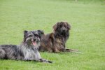Bletta de Kliandie und Clark de la petit vagabond