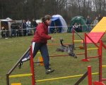 Bletta beim Agility